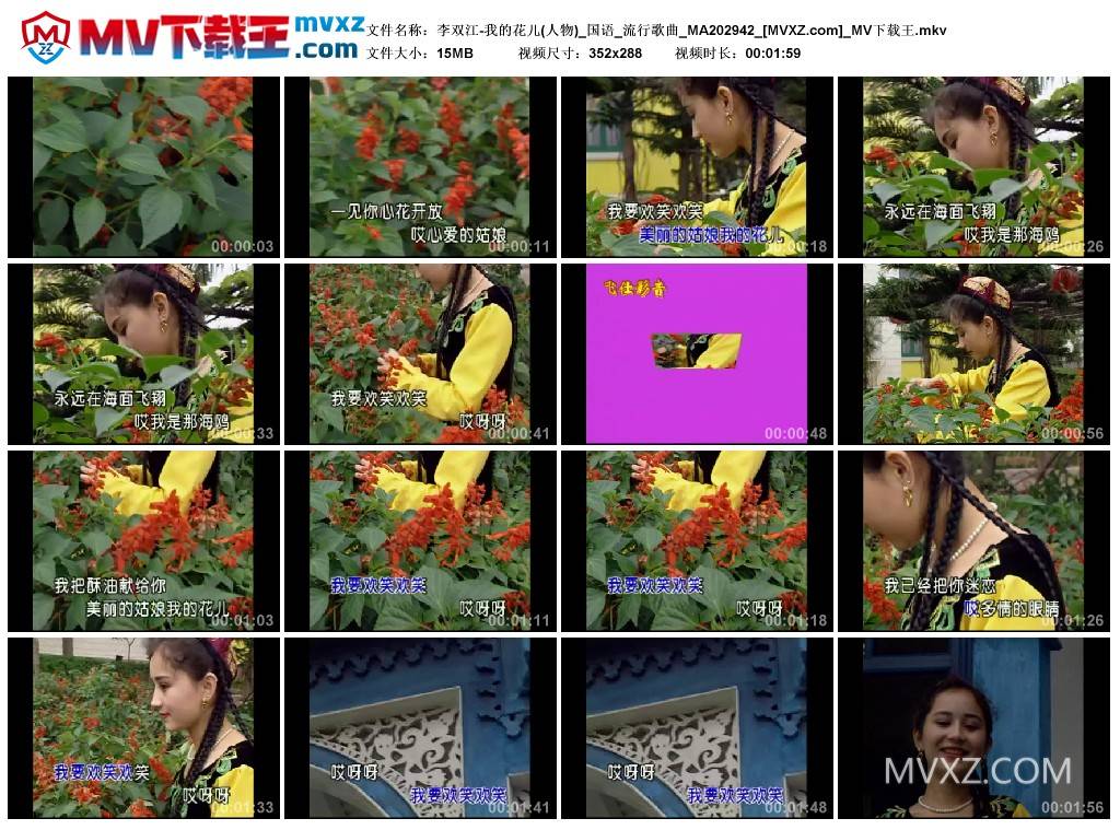李双江-我的花儿(人物)_国语_流行歌曲_MA202942